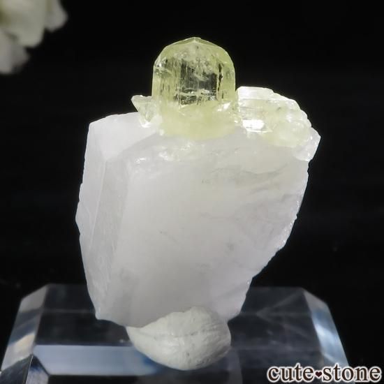 ֥饸 Linopolis ֥饸ꥢʥȡХȤθ No.11μ̿1 cute stone