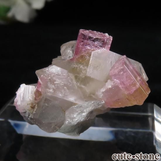 å Beni Bouzra ԥ󥯥ȥޥĤθ No.7μ̿1 cute stone