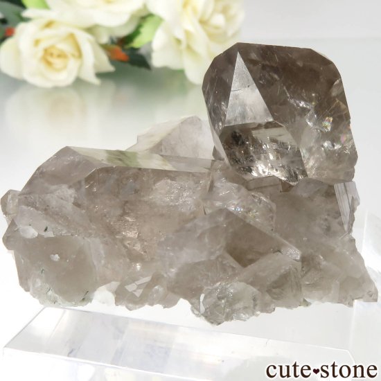 ե ֥ ˡLes Droites˻ ⡼ġʱ徽ˤθ No.1μ̿1 cute stone