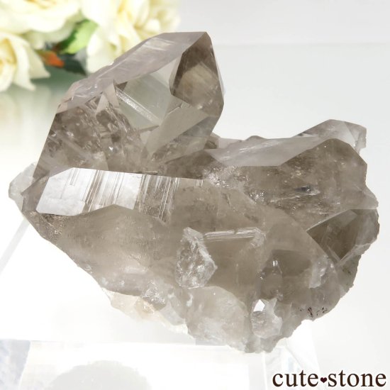ե ֥ ˡLes Droites˻ ⡼ġʱ徽ˤθ No.1μ̿2 cute stone