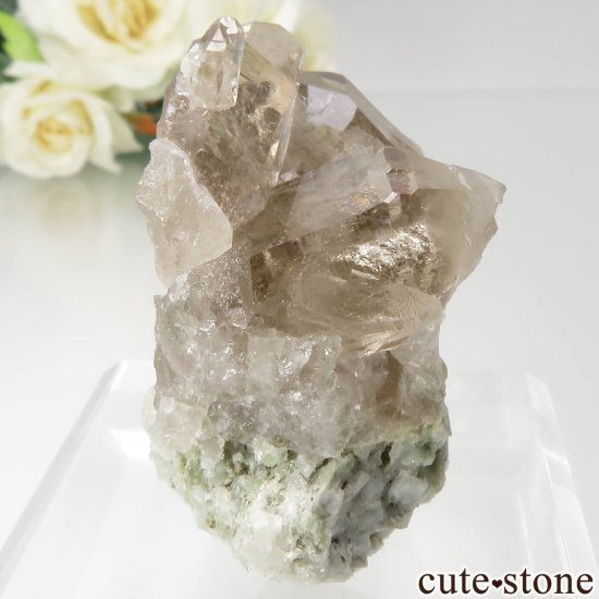 ե ֥ ˡLes Droites˻ ⡼ġʱ徽ˤθ No.2μ̿0 cute stone