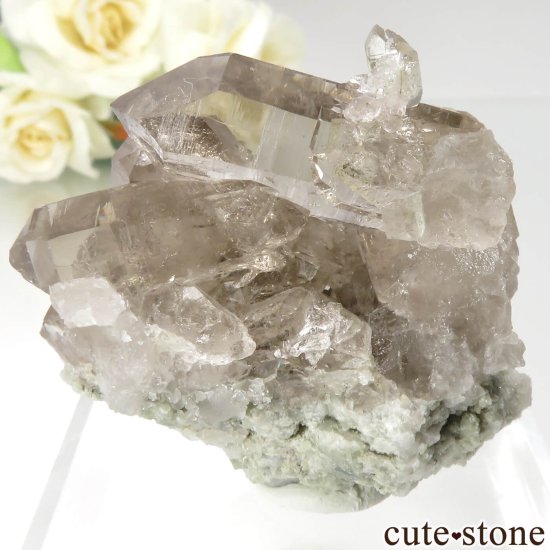 ե ֥ ˡLes Droites˻ ⡼ġʱ徽ˤθ No.2μ̿1 cute stone