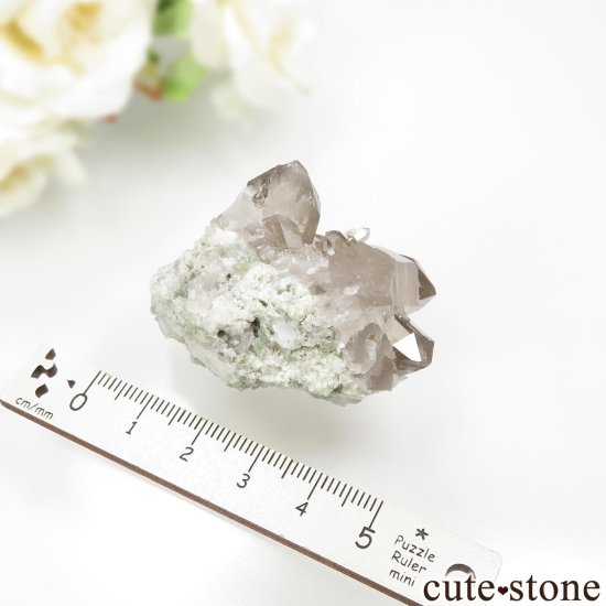 ե ֥ ˡLes Droites˻ ⡼ġʱ徽ˤθ No.2μ̿3 cute stone