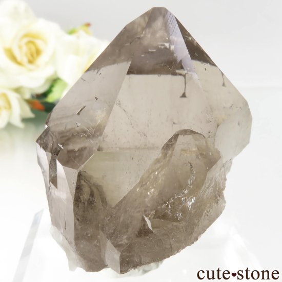 ե ֥ ˡLes Droites˻ ⡼ġʱ徽ˤθ No.3μ̿1 cute stone