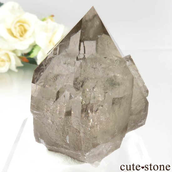 ե ֥ ˡLes Droites˻ ⡼ġʱ徽ˤθ No.3μ̿2 cute stone