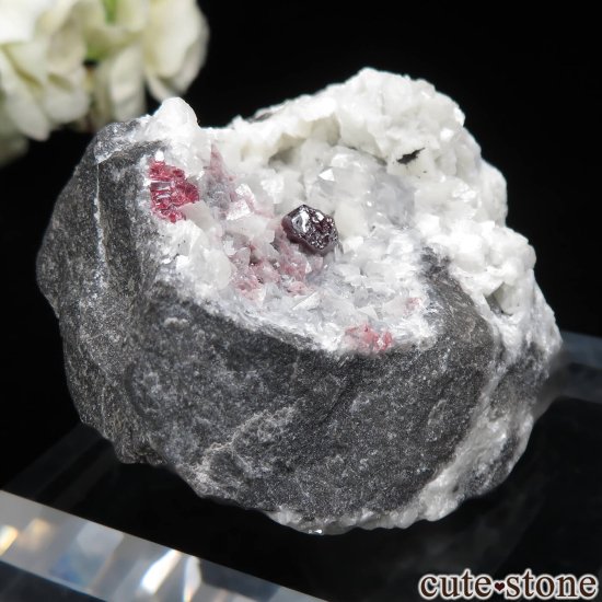 貴州省 Yunchangping Mine産 辰砂（シンシャ）シナバー＆クォーツ＆ドロマイトの原石 No.4 - cute stone -