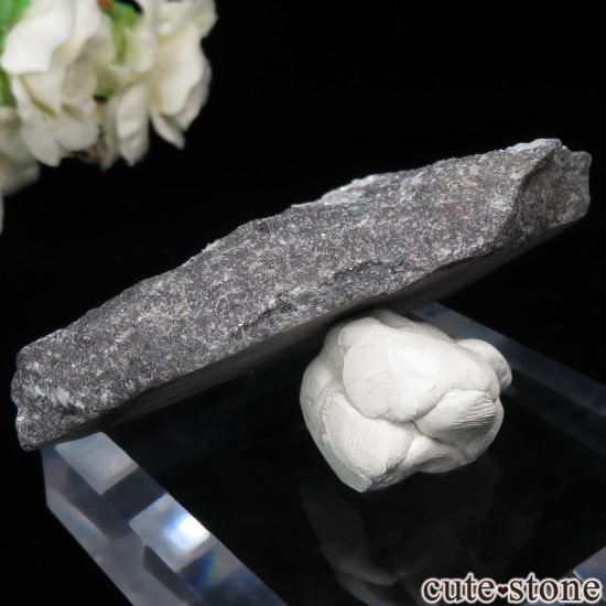  Yunchangping Mine äʥ󥷥˥ʥСɥޥȤθ No.5μ̿1 cute stone