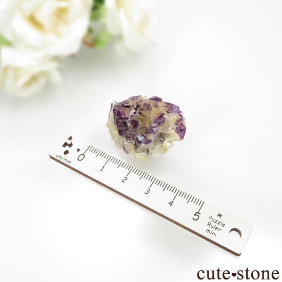 ʥߥӥ Okorusu Mine Purple Bunny Pocket ե饤Ȥθ No.28μ̿4 cute stone