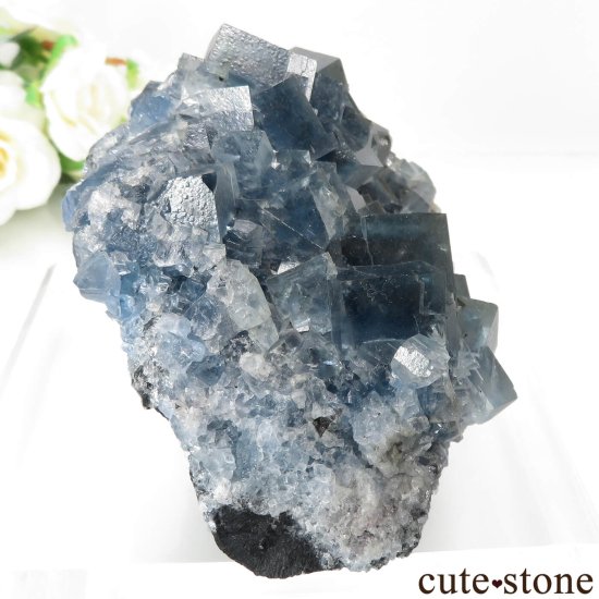ե Mont-Roc Mine ֥롼ե饤Ȥθ No.1μ̿1 cute stone