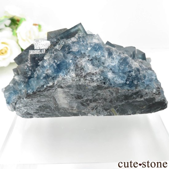 ե Mont-Roc Mine ֥롼ե饤Ȥθ No.1μ̿2 cute stone