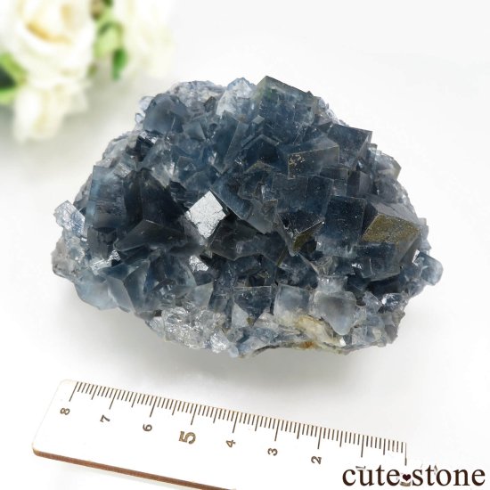 ե Mont-Roc Mine ֥롼ե饤Ȥθ No.1μ̿7 cute stone