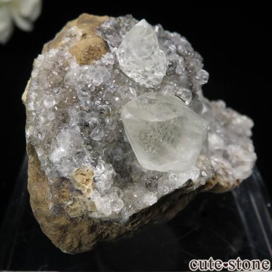 ե Pau 륵Ȥθ No.2μ̿0 cute stone