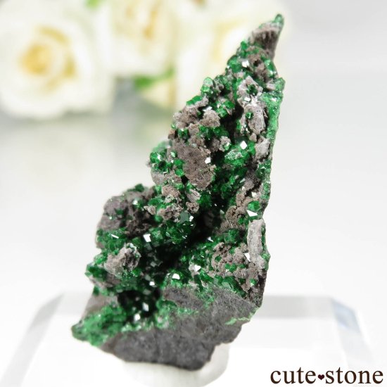  Saranovskii Mine ХХȥͥåȤθ No.9μ̿2 cute stone