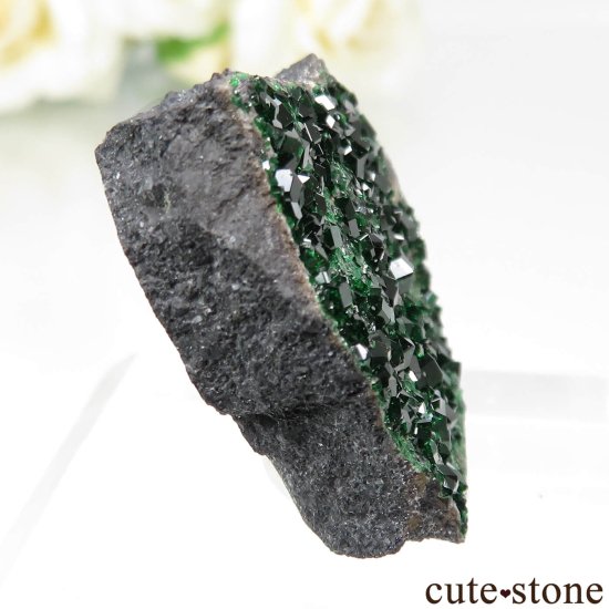  Saranovskii Mine ХХȥͥåȤθ No.10μ̿0 cute stone