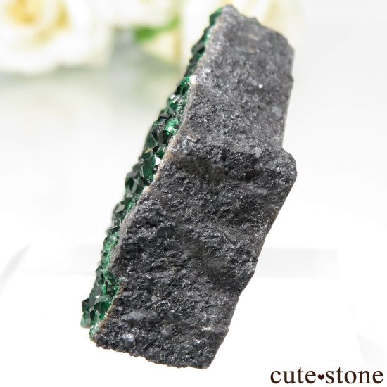  Saranovskii Mine ХХȥͥåȤθ No.10μ̿2 cute stone