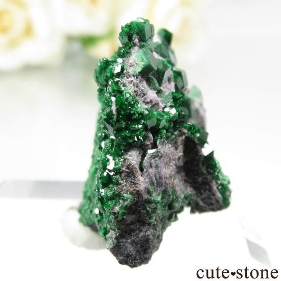  Saranovskii Mine ХХȥͥåȤθ No.11μ̿1 cute stone