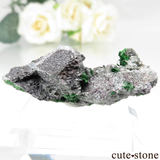  Saranovskii Mine ХХȥͥåȤθ No.12μ̿2 cute stone