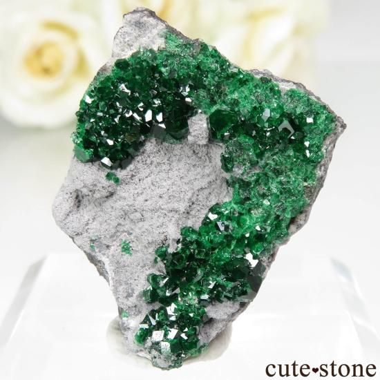 ウバロバイトガーネット　ロシア ロシア Saranovskii Mine産 ウバロバイトガーネットの母岩付き