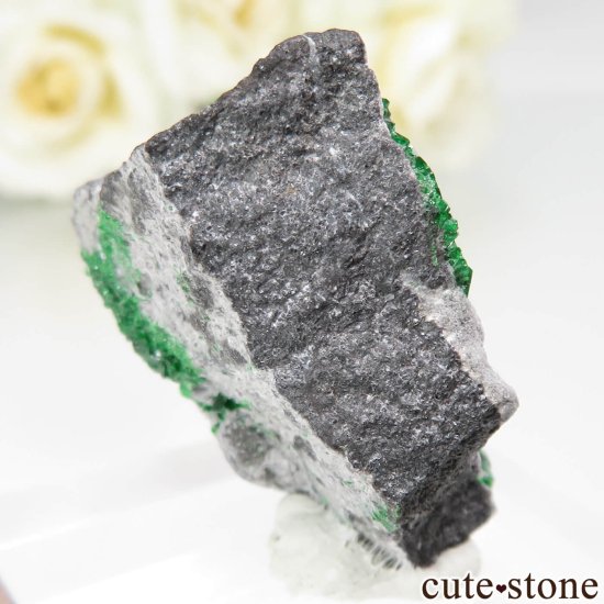 Saranovskii Mine ХХȥͥåȤθ No.14μ̿1 cute stone