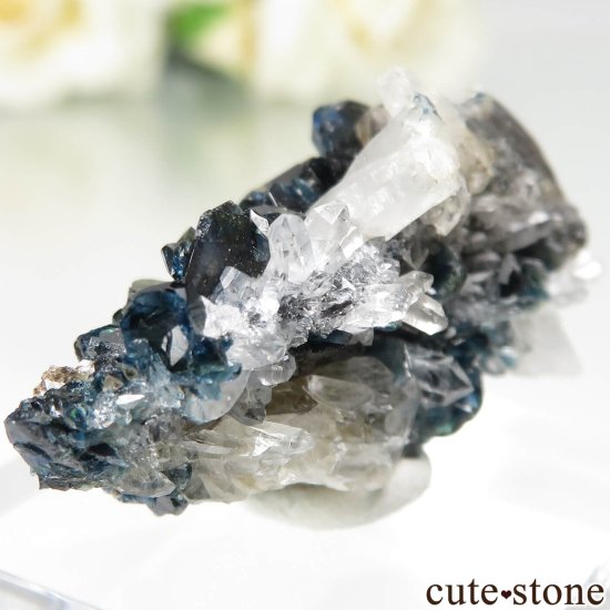  ʸɬɤǤ 饺饤(ŷ)Ĥθ No.1μ̿2 cute stone