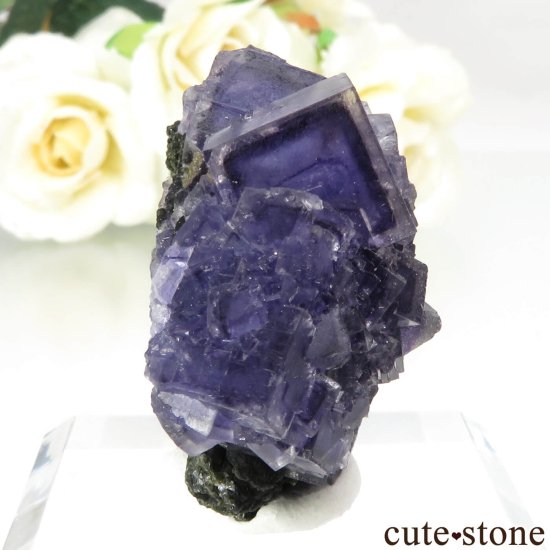 ݥȥ Panasqueira Mines ѡץ֥롼ե饤Ȥθ No.1μ̿0 cute stone