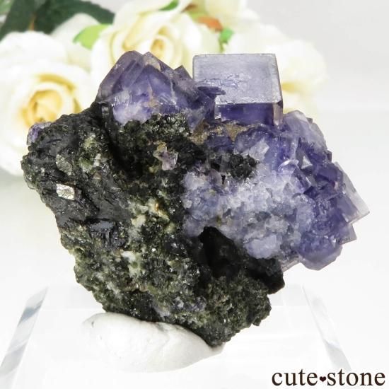 ݥȥ Panasqueira Mines ѡץ֥롼ե饤Ȥθ No.1μ̿1 cute stone