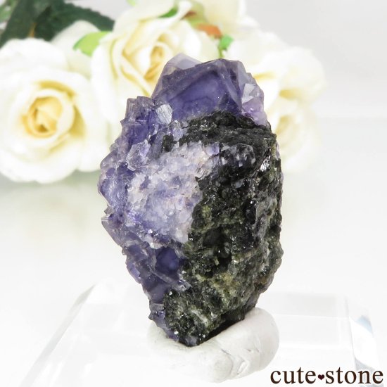 ݥȥ Panasqueira Mines ѡץ֥롼ե饤Ȥθ No.1μ̿2 cute stone
