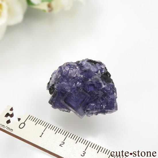 ݥȥ Panasqueira Mines ѡץ֥롼ե饤Ȥθ No.1μ̿5 cute stone