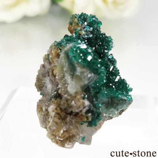 󥴶¹ Mindouli ץơ륵Ȥθ No.9μ̿0 cute stone