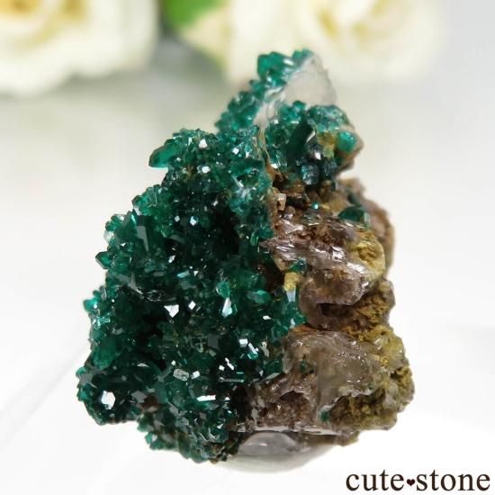 󥴶¹ Mindouli ץơ륵Ȥθ No.9μ̿2 cute stone