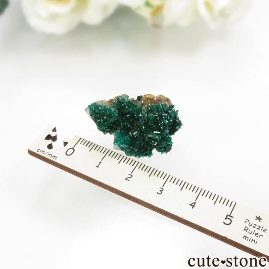 󥴶¹ Mindouli ץơ륵Ȥθ No.9μ̿4 cute stone