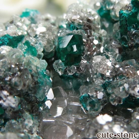 󥴶¹ Mindouli ץơ륵Ȥθ No.10μ̿3 cute stone