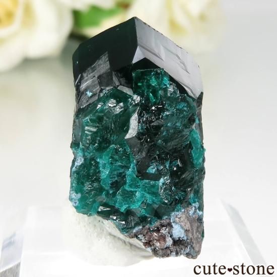 󥴶¹ Mindouli ץơθ No.14μ̿1 cute stone