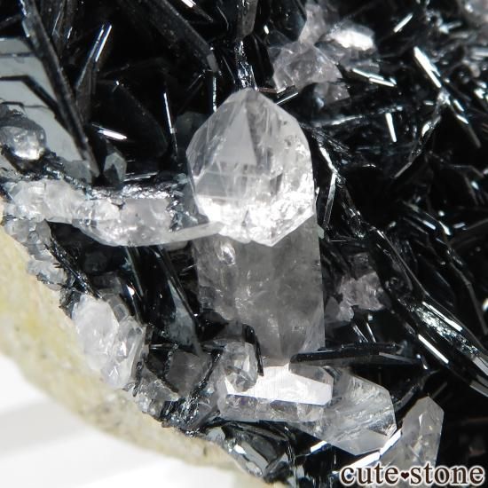 ե Saint-Christophe-en-Oisans إޥȡĤθ No.3μ̿1 cute stone