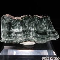 セラフィナイト（クリノクロア）の意味・鉱物辞典 cute stone