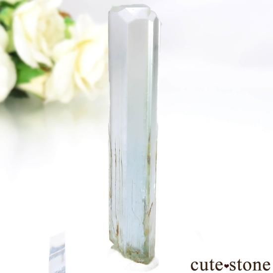 ʥߥӥ Klein Spitzkopje ʥȡޥθ No.1μ̿0 cute stone