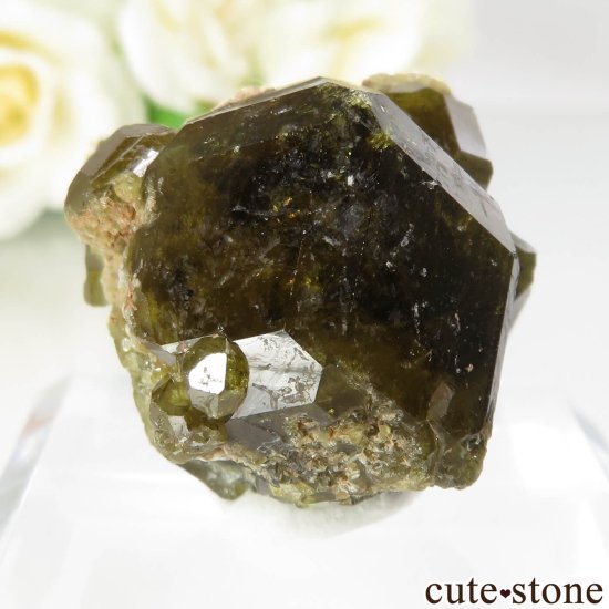 ޥ Sandare å顼ͥåȤθ No.2μ̿0 cute stone