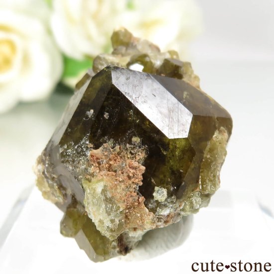 ޥ Sandare å顼ͥåȤθ No.3μ̿1 cute stone