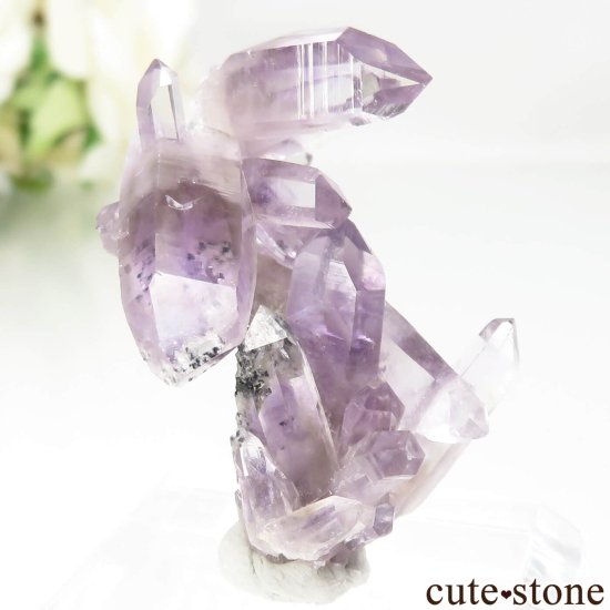 ᥭ  ᥸Ȥθ No.19μ̿0 cute stone