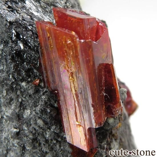 롼ޥ˥ Baia Sprie ꥢ륬θ No.2μ̿1 cute stone