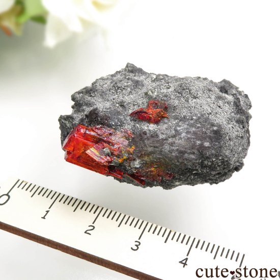 롼ޥ˥ Baia Sprie ꥢ륬θ No.2μ̿5 cute stone