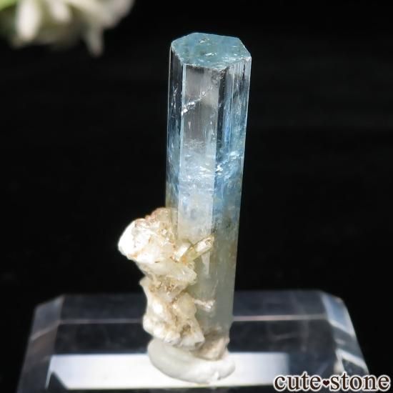 ʥߥӥ 󥴻 ޥθ No.40μ̿1 cute stone