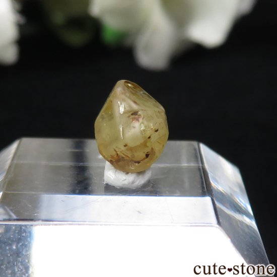 Rakwana ꥽٥θСо No.4μ̿0 cute stone