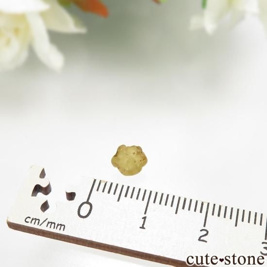  Rakwana ꥽٥θСо No.4μ̿3 cute stone
