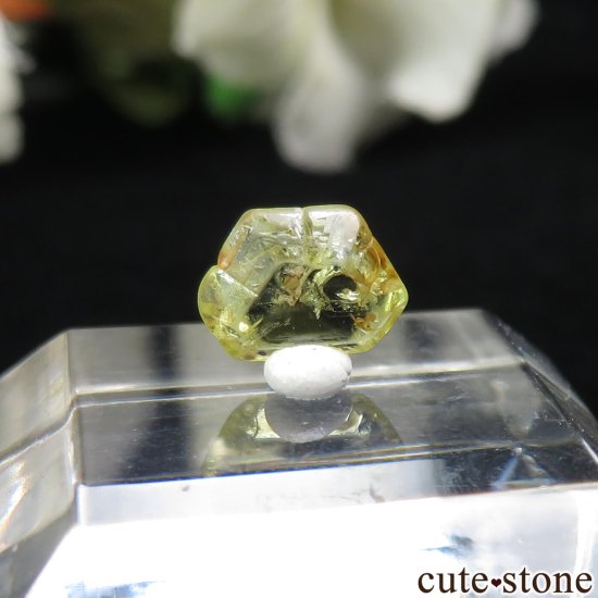  Rakwana ꥽٥θСо No.5μ̿1 cute stone