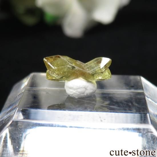  Ratnapura ꥽٥θ  No.6μ̿1 cute stone