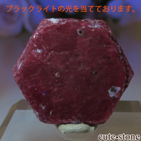 󥶥˥ Arusha ʥӡˤθ No.1μ̿1 cute stone