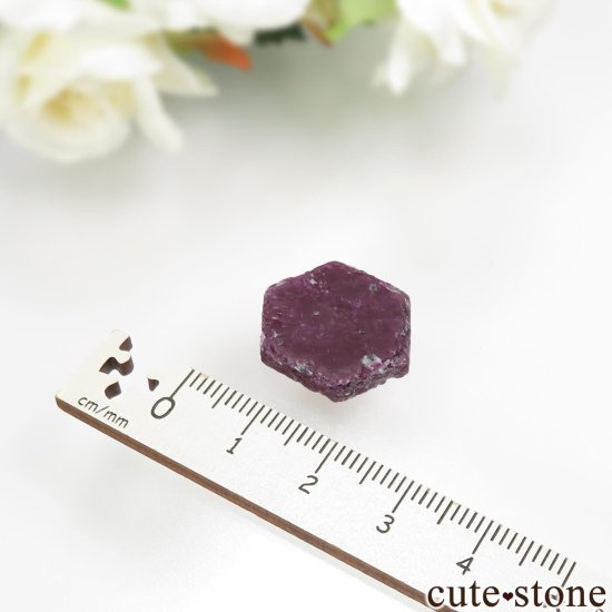 󥶥˥ Arusha ʥӡˤθ No.1μ̿2 cute stone