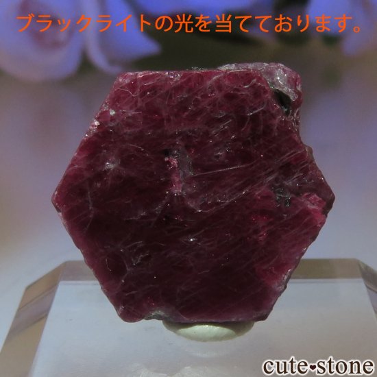 󥶥˥ Arusha ʥӡˤθ No.2μ̿1 cute stone
