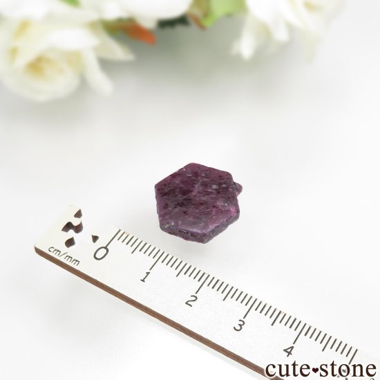 󥶥˥ Arusha ʥӡˤθ No.2μ̿2 cute stone